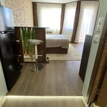 Deluxe For Two Apartment Bansko