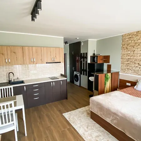 Deluxe 200m From Road * Банско