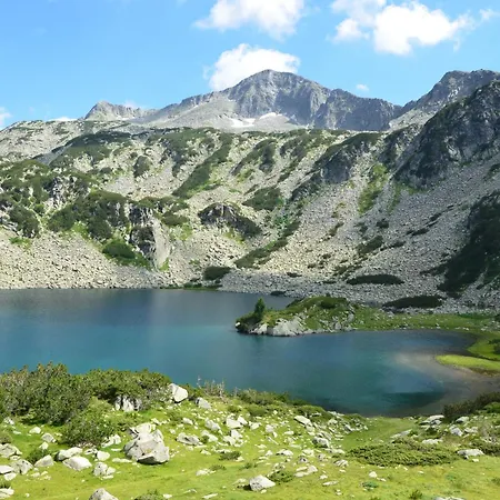 Deluxe 200m From Road Апартаменты