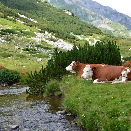 公寓 Deluxe 200m From Road *