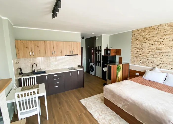 Deluxe 200m From Road * Bansko