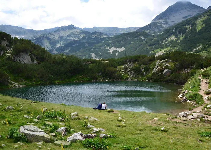 Deluxe 200m From Road * Bansko