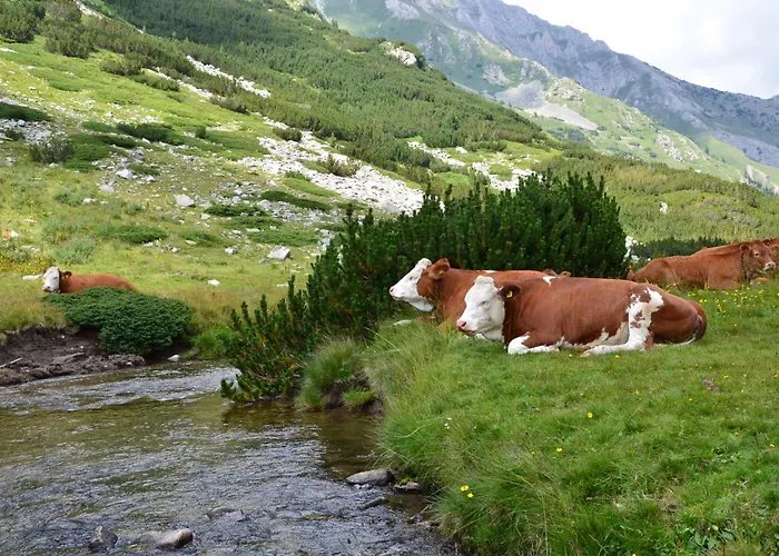 Apartment Deluxe 200m From Road *